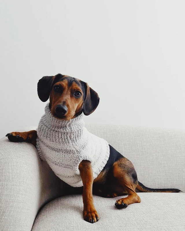 Weekend Shopping Made Better Fuzzy Pet Sweater