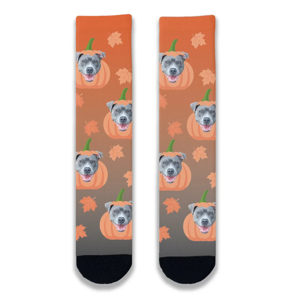 Weekend Savings Extravaganza Halloween Dog Pumpkin Personalised Socks